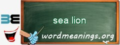 WordMeaning blackboard for sea lion